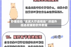 秒懂经验“玄武大厅透视挂”详细外挂透视辅助软件教程