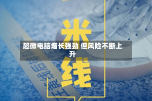 超微电脑增长强劲 但风险不断上升