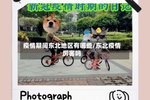 疫情期间东北地区有哪些/东北疫情厉害吗