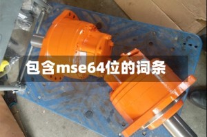 包含mse64位的词条