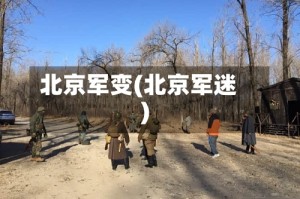 北京军变(北京军迷)