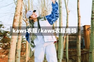 kaws衣服/kaws衣服贵吗