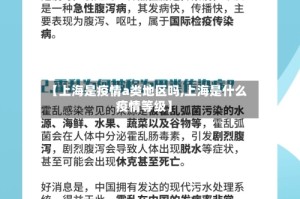 【上海是疫情a类地区吗,上海是什么疫情等级】