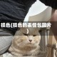 损色(损色的表情包图片)