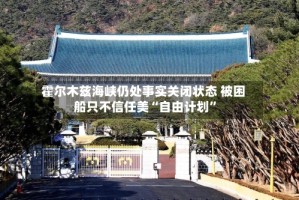 霍尔木兹海峡仍处事实关闭状态 被困船只不信任美“自由计划”