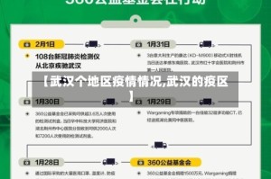 【武汉个地区疫情情况,武汉的疫区】