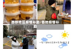 西部地区疫情补助/各地疫情补助