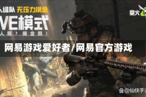 网易游戏爱好者/网易官方游戏