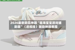 2026最新助赢神器“临海宝宝游戏辅助器”（透视挂）辅助神器教程