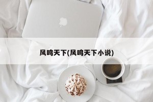 风鸣天下(风鸣天下小说)