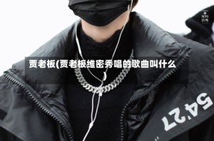 贾老板(贾老板维密秀唱的歌曲叫什么)