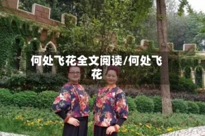 何处飞花全文阅读/何处飞花