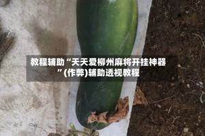 教程辅助“天天爱柳州麻将开挂神器”(作弊)辅助透视教程
