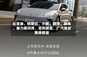 比亚迪、特斯拉、小鹏、理想、蔚来、赛力斯问界、吉利极氪、广汽埃安集体辟谣