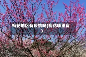 梅花地区有疫情吗(梅花哪里有)