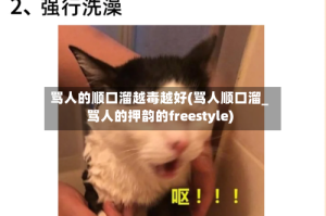 骂人的顺口溜越毒越好(骂人顺口溜_骂人的押韵的freestyle)