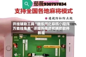 开挂辅助工具“微乐河北麻将小程序万能挂免费”详细外挂透视辅助软件教程