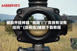 辅助开挂神器“衡阳丫丫竞技有没有挂吗”(透视挂)辅助下载教程