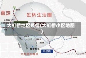 大虹桥地区疫情(大虹桥小区地图)