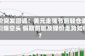 镍价突发回调！美元走强节前轻仓避险引爆空头 假期前瞻及镍价走势如何？