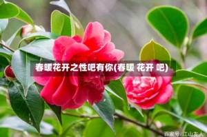 春暖花开之性吧有你(春暖 花开 吧)