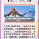 宝可梦大集结/宝可梦大集结最强宝可梦