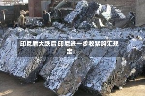 印尼盾大跌后 印尼进一步收紧购汇规定