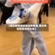 【南召都有哪些地区有疫情,南召有新型冠状肺炎吗】