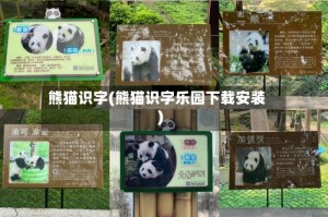 熊猫识字(熊猫识字乐园下载安装)