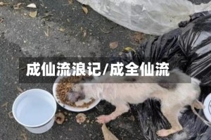 成仙流浪记/成全仙流