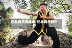 武林高手混都市/武林高手都市行
