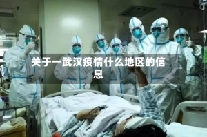 关于一武汉疫情什么地区的信息