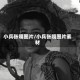 小兵张嘎图片/小兵张嘎图片素材