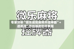 专家分析“微乐咸阳麻将开挂神器”+透视挂”开挂辅助软件教程