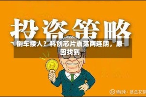 倒车接人？科创芯片震荡两连阴，原因找到