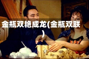 金瓶双艳成龙(金瓶双联)