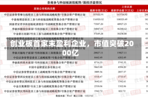 创业板首家未盈利企业，市值突破2000亿