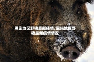 恩施地区野猪最新疫情/恩施地区野猪最新疫情情况