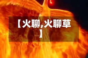 【火聊,火聊草】