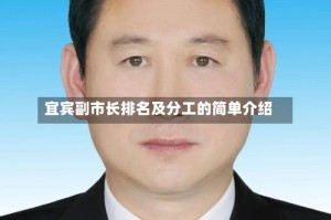宜宾副市长排名及分工的简单介绍