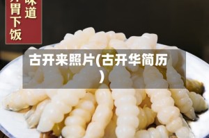 古开来照片(古开华简历)