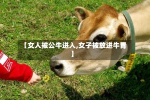 【女人被公牛进入,女子被放进牛胃】