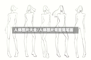 人体图片大全/人体图片背面简笔画