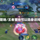 王者营地/王者营地可以隐身访问吗