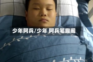少年阿兵/少年 阿兵笔趣阁
