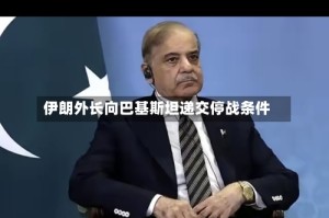 伊朗外长向巴基斯坦递交停战条件