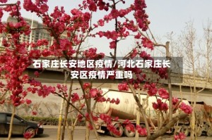 石家庄长安地区疫情/河北石家庄长安区疫情严重吗