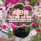 万能开挂辅助“花城牌舍可以开挂吗”附辅助神器开挂脚本详细步骤