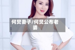 何炅妻子/何炅公布老婆