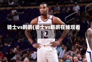 骑士vs鹈鹕(骑士vs鹈鹕在线观看)